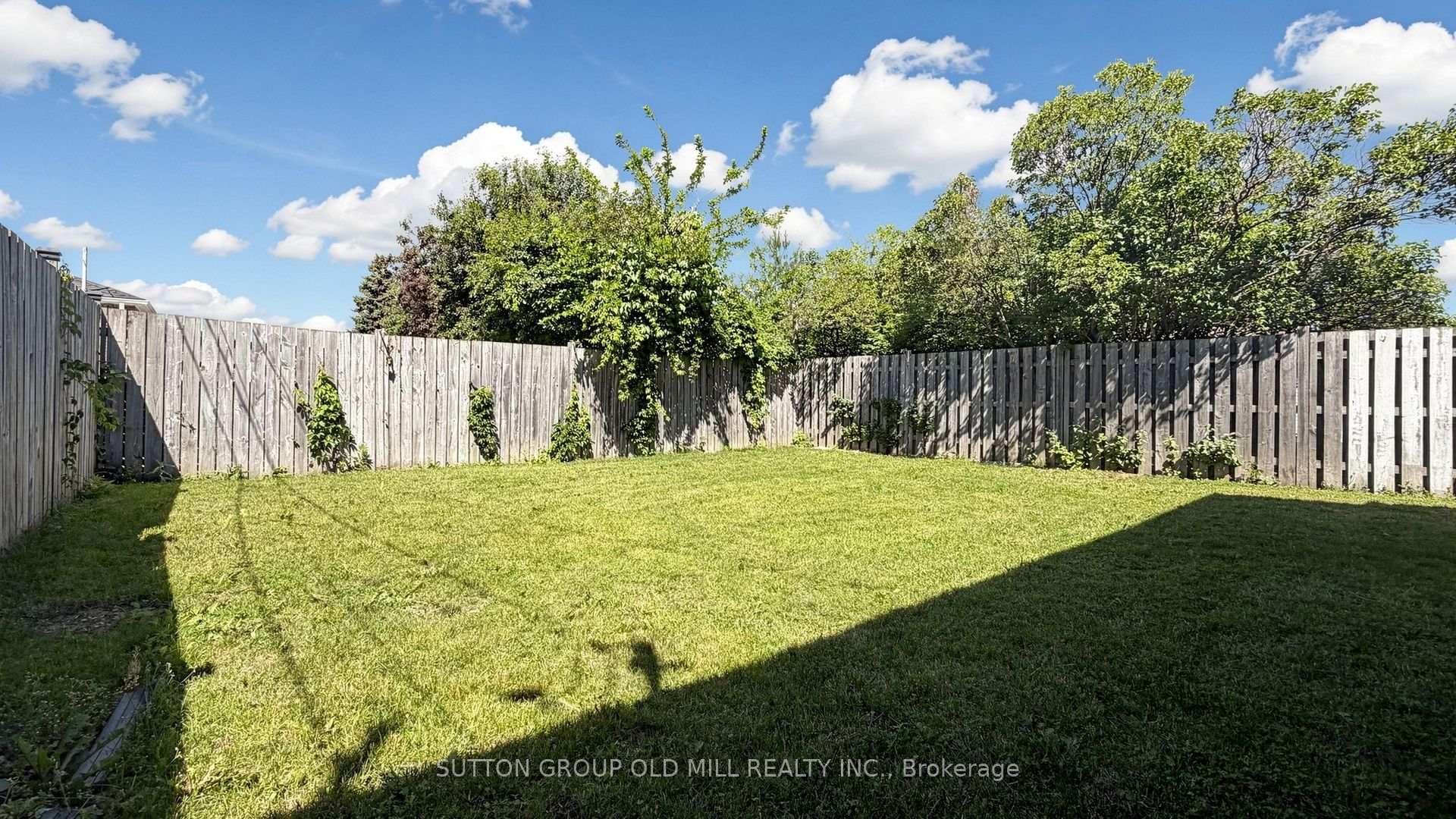 19 Ascot Avenue photo 50