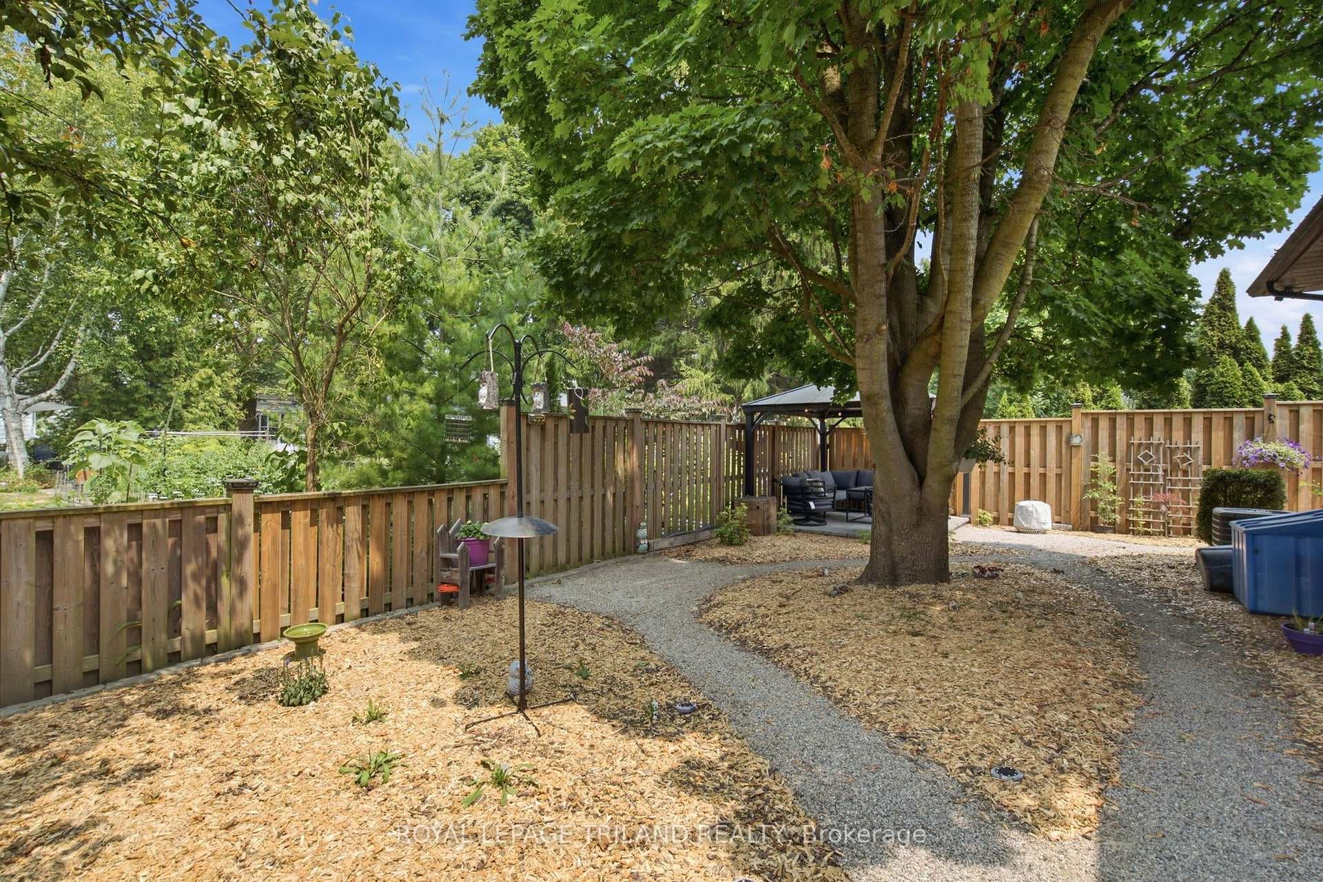 Back yard