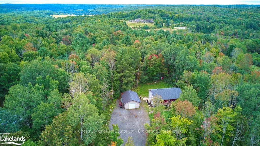 295 TOWN LINE Road photo 1