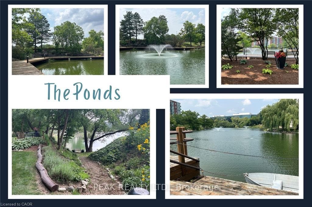 The ponds