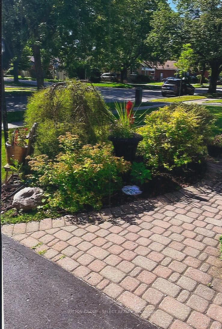 18 Tilipe Road photo 6