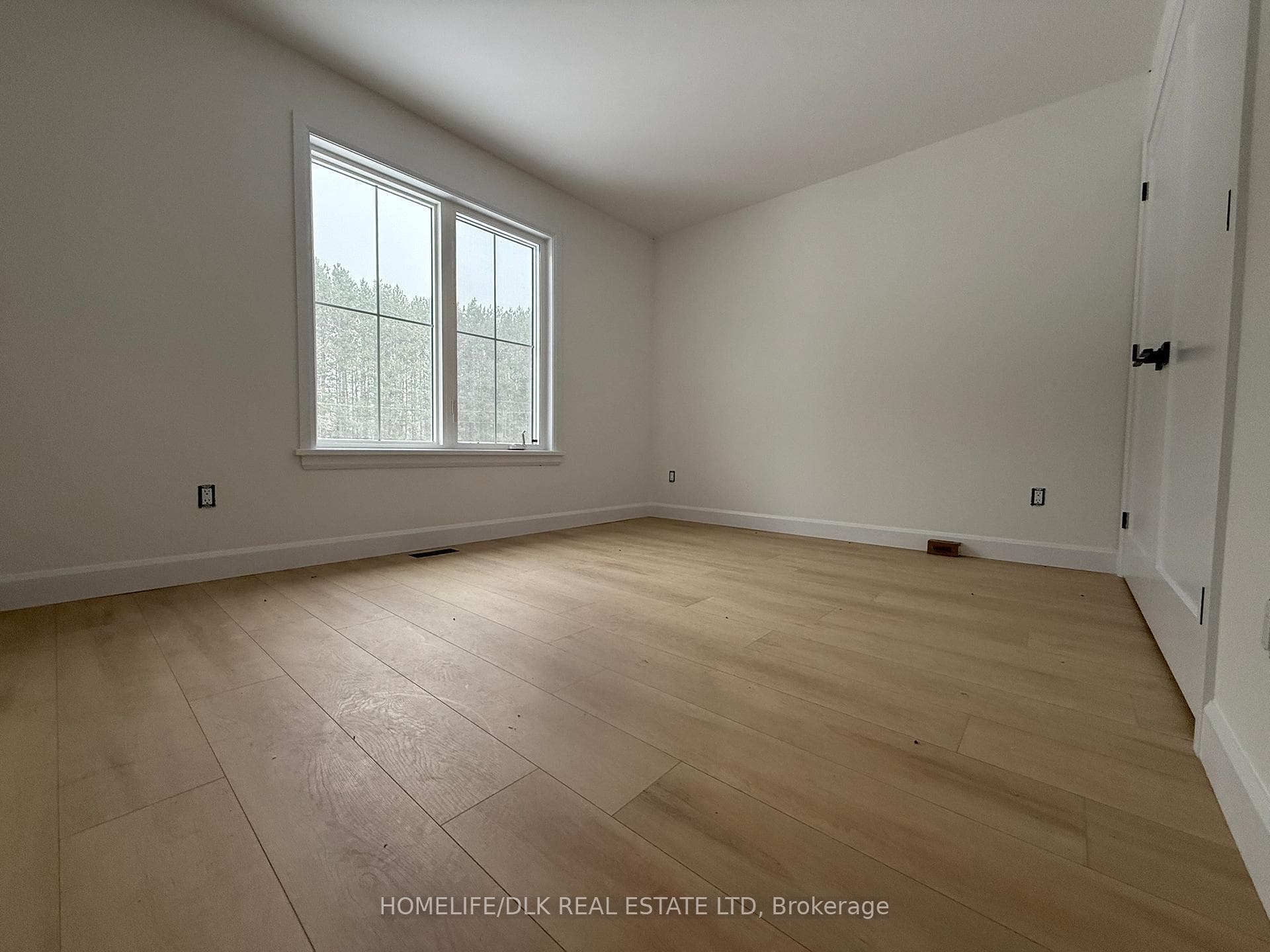 9274 South Branch Road photo 9