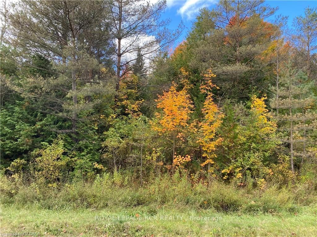LOT 19 CONFEDERATION Drive photo 4