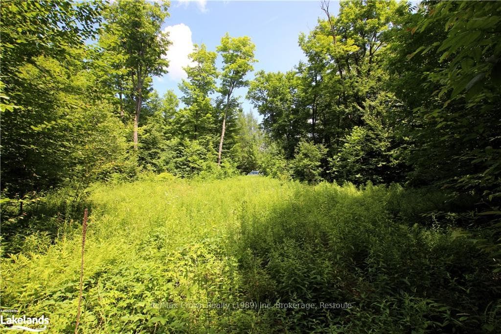 0B 20TH SIDE RD Road photo 3