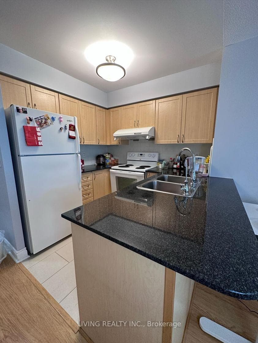 55 South Town Centre Boulevard Unit 505 photo 4