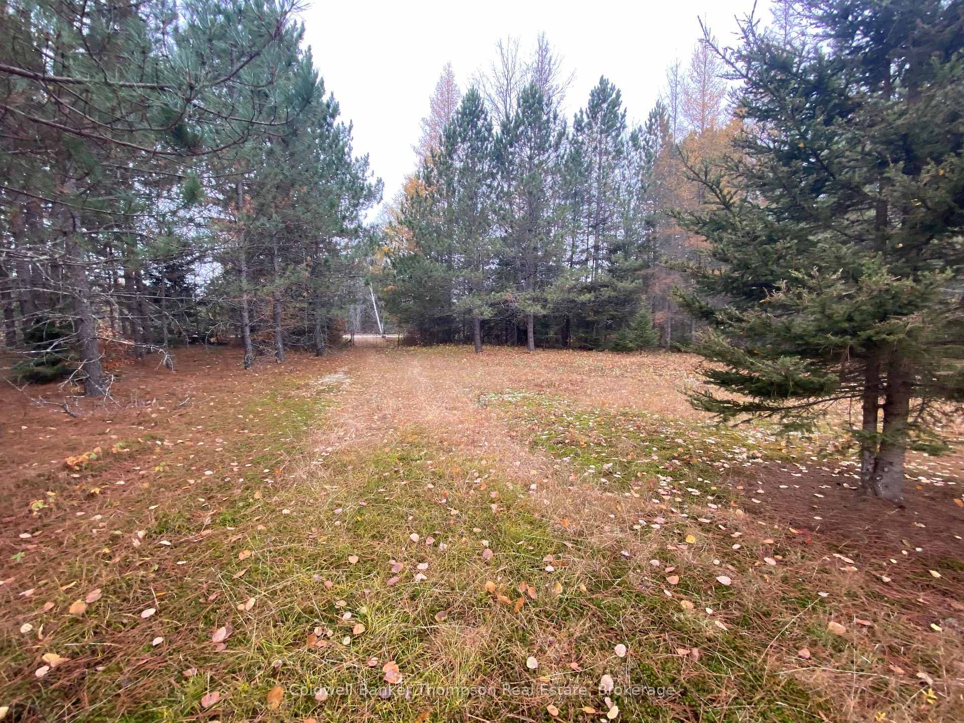 346 BRENNAN'S Road photo 16
