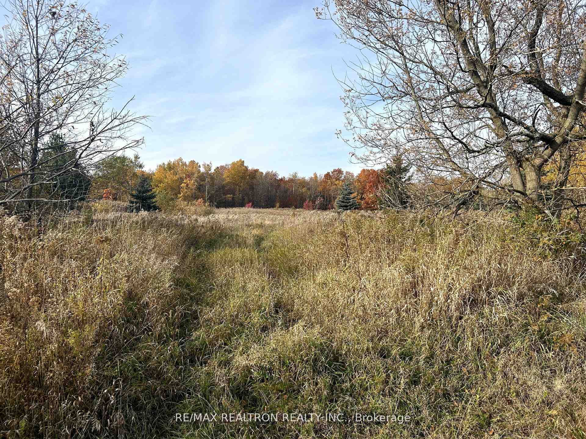 833160 4th Line photo 32