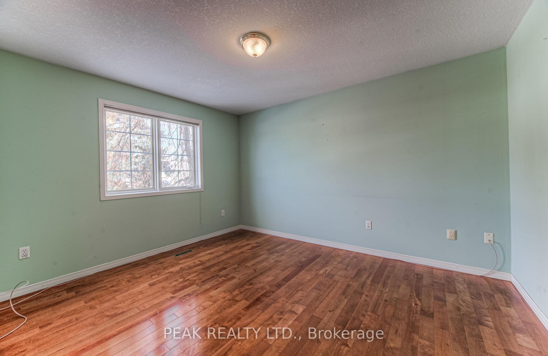 66 Bridle Trail photo 23