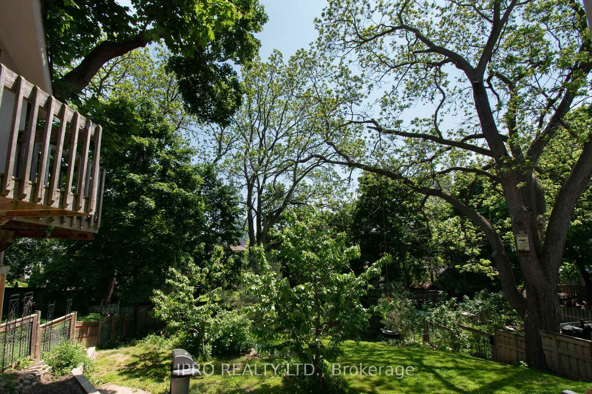 27 David Street photo 40
