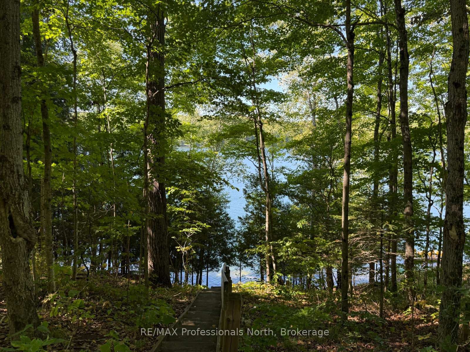 Trail to deeded access