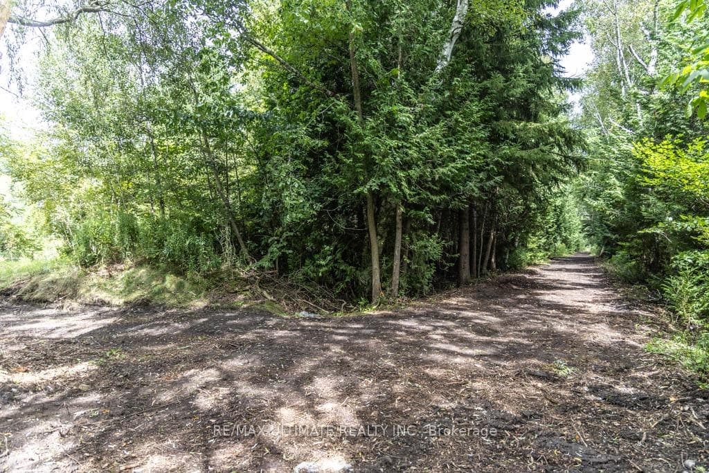 1810 Harper Road photo 5