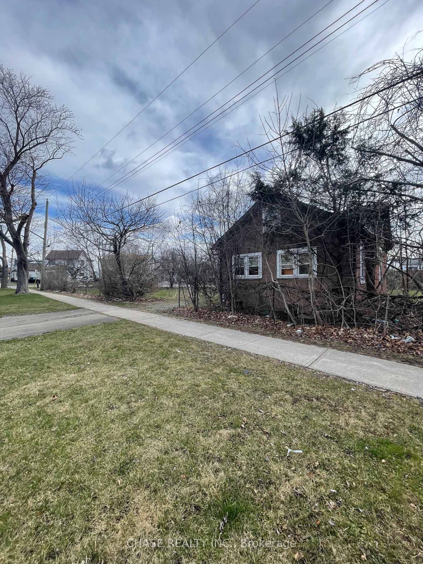 81 Saint George Street photo 8
