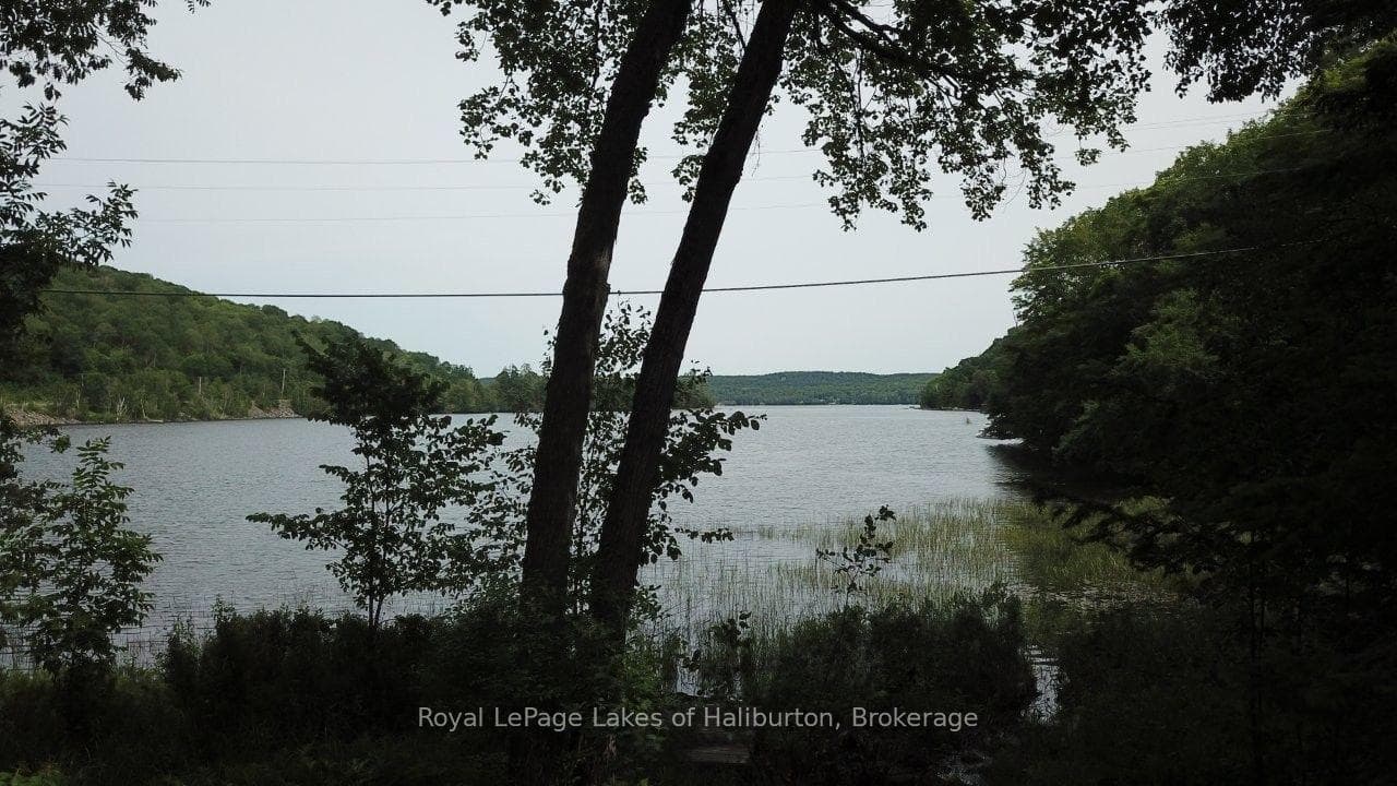 3040 Haliburton Lake Road photo 32