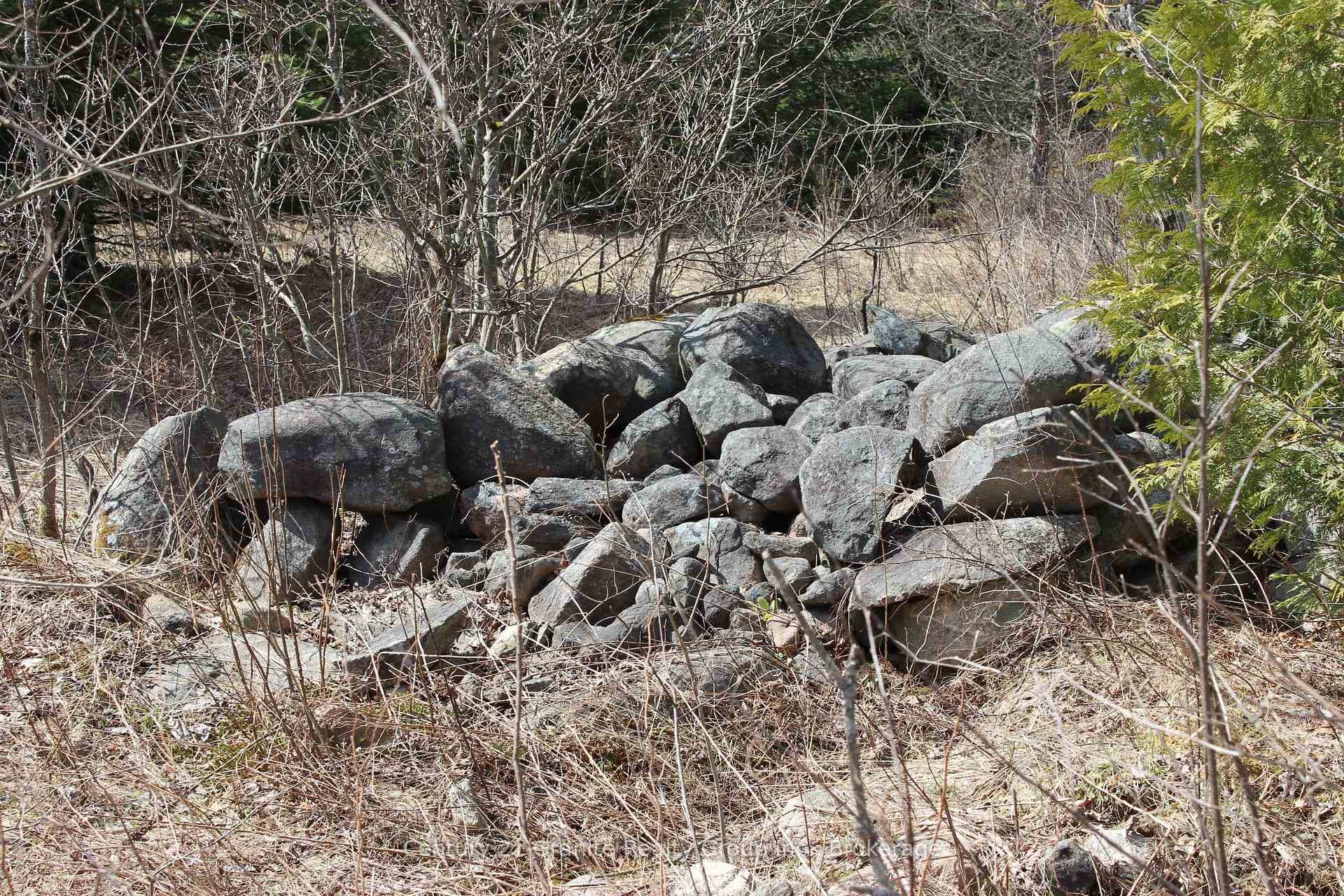 Original stone fences