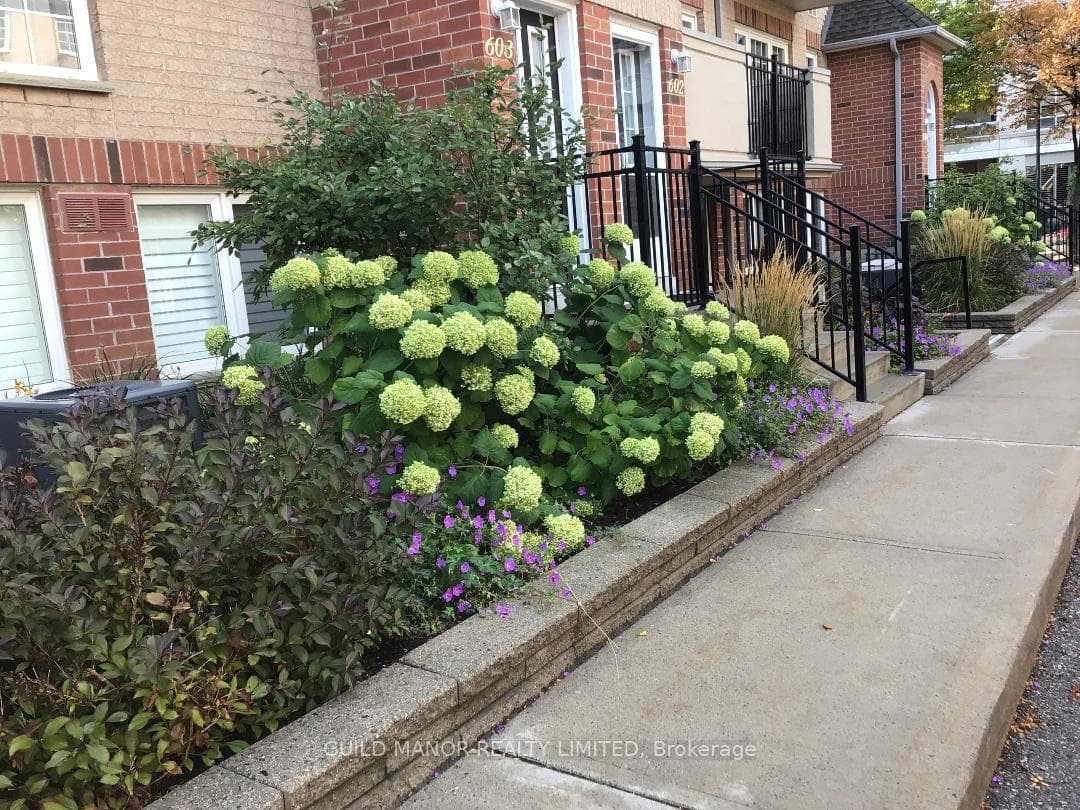 Summer Garden