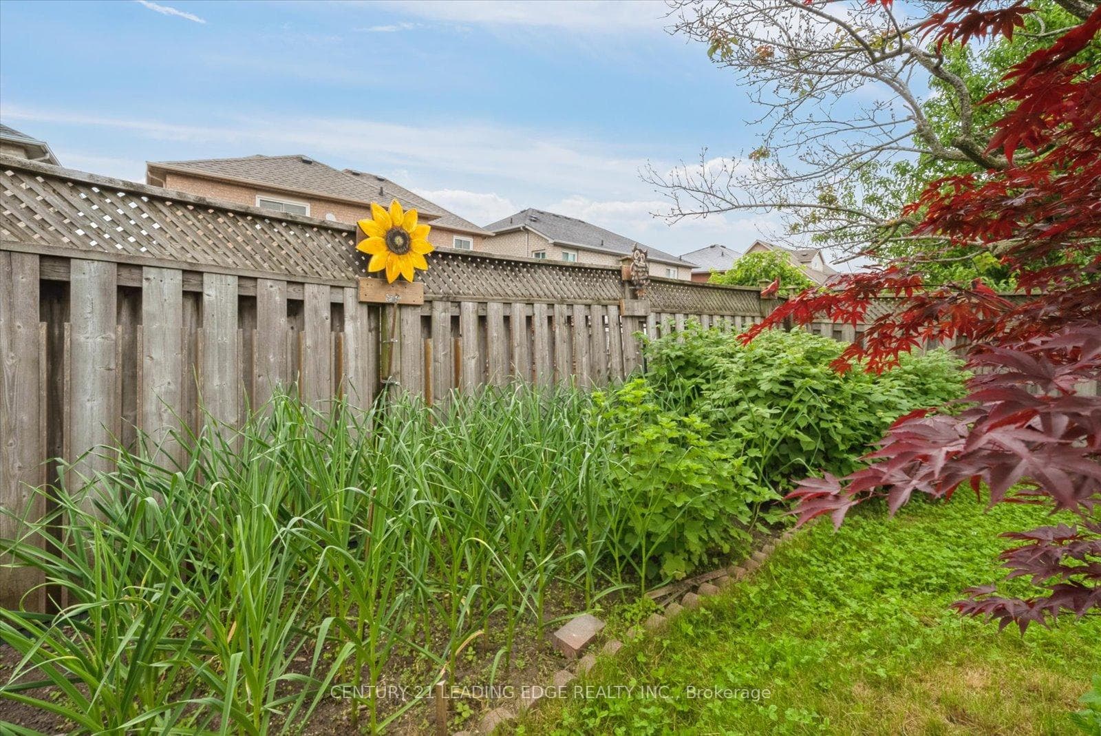 1885 Wildflower Drive photo 23