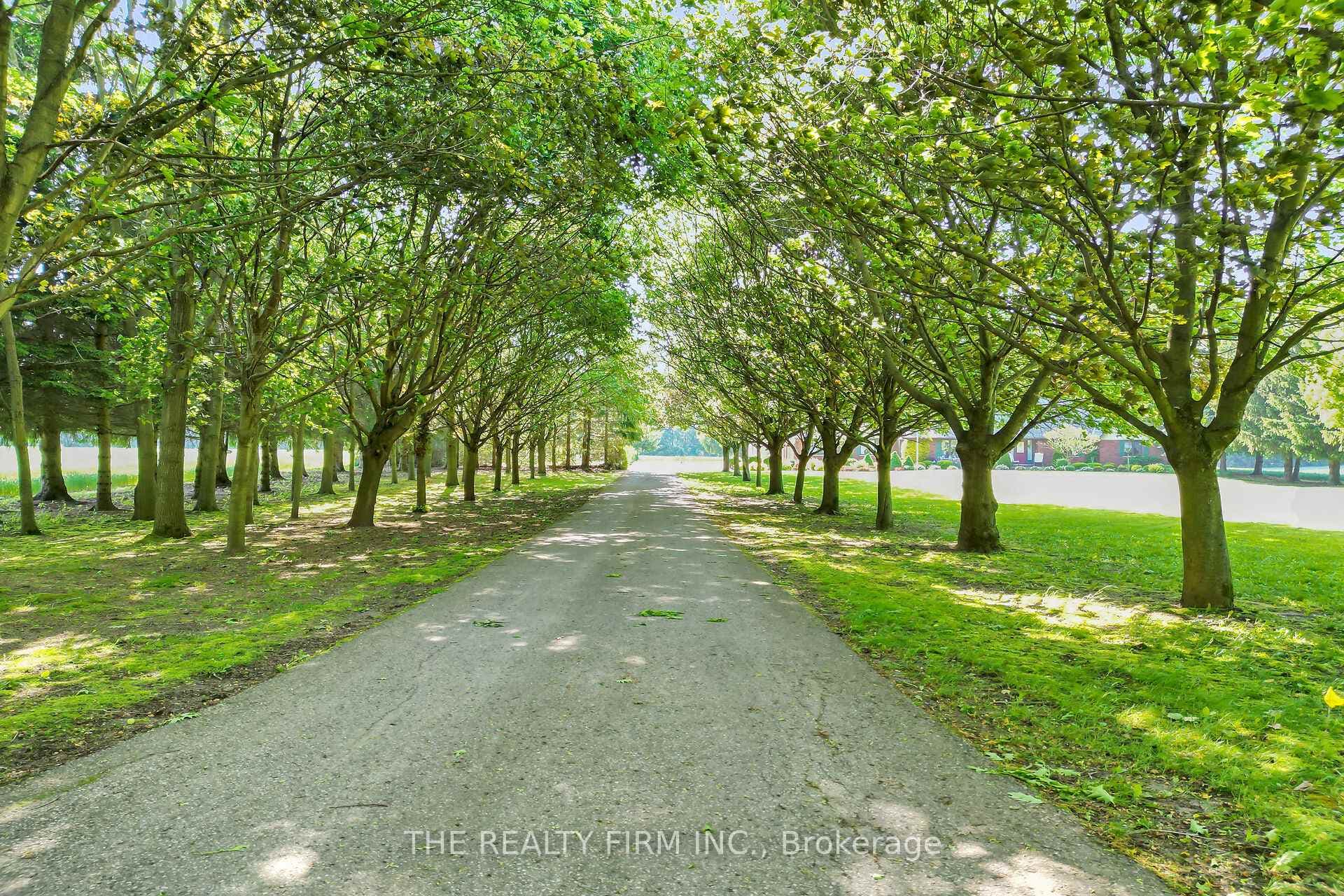 11033 Somers Road photo 6