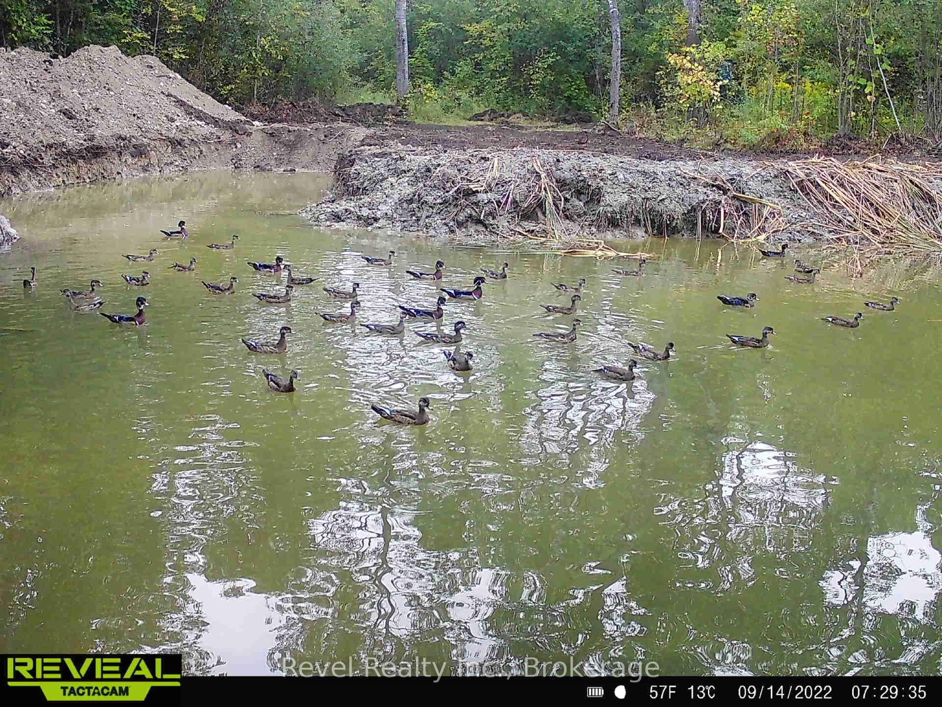 0 LILAC ROAD AT PIGEON LAKE ROAD N/A photo 6