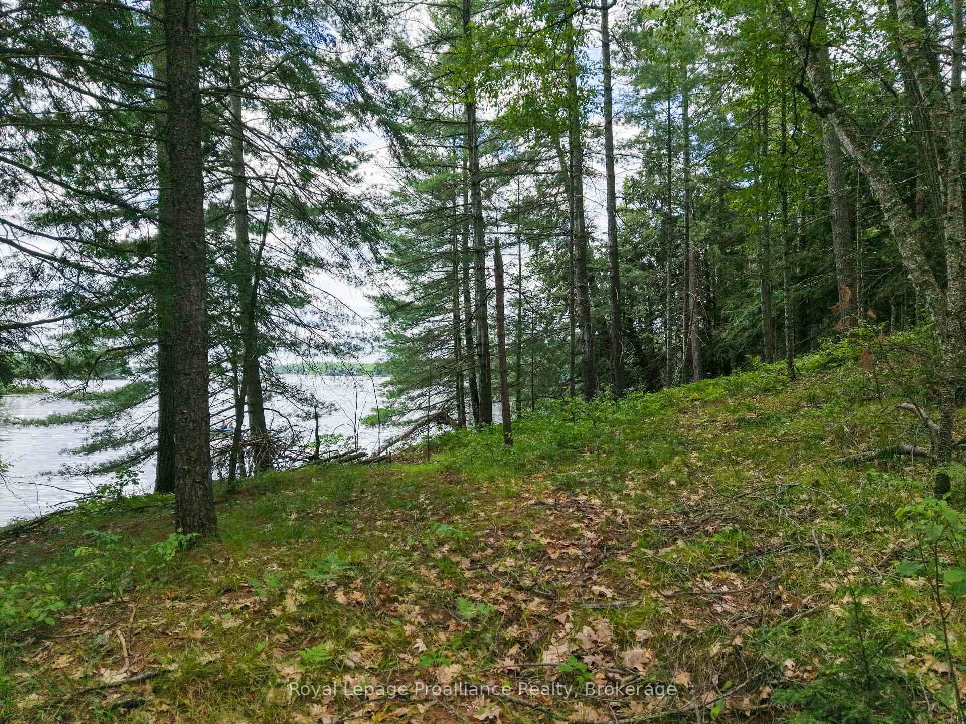3 WAO Kasshabog Lake N/A photo 30