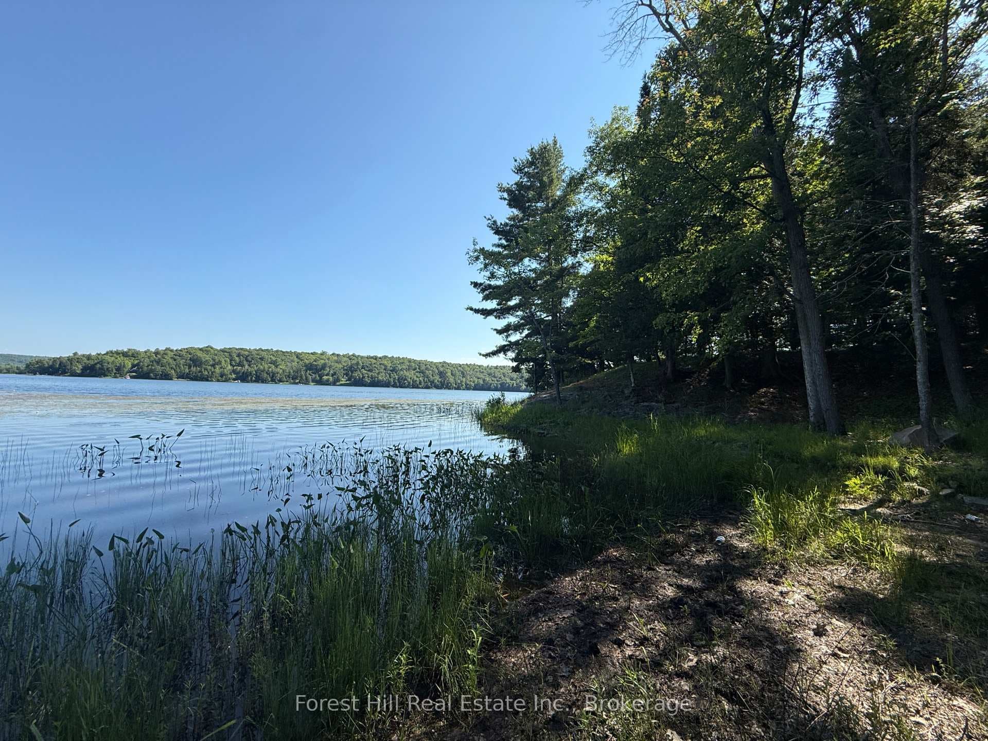 935 Limberlost Road photo 45