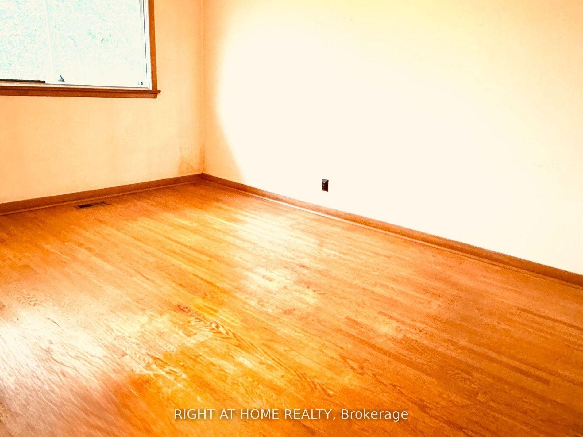 87 FENELON Drive photo 16