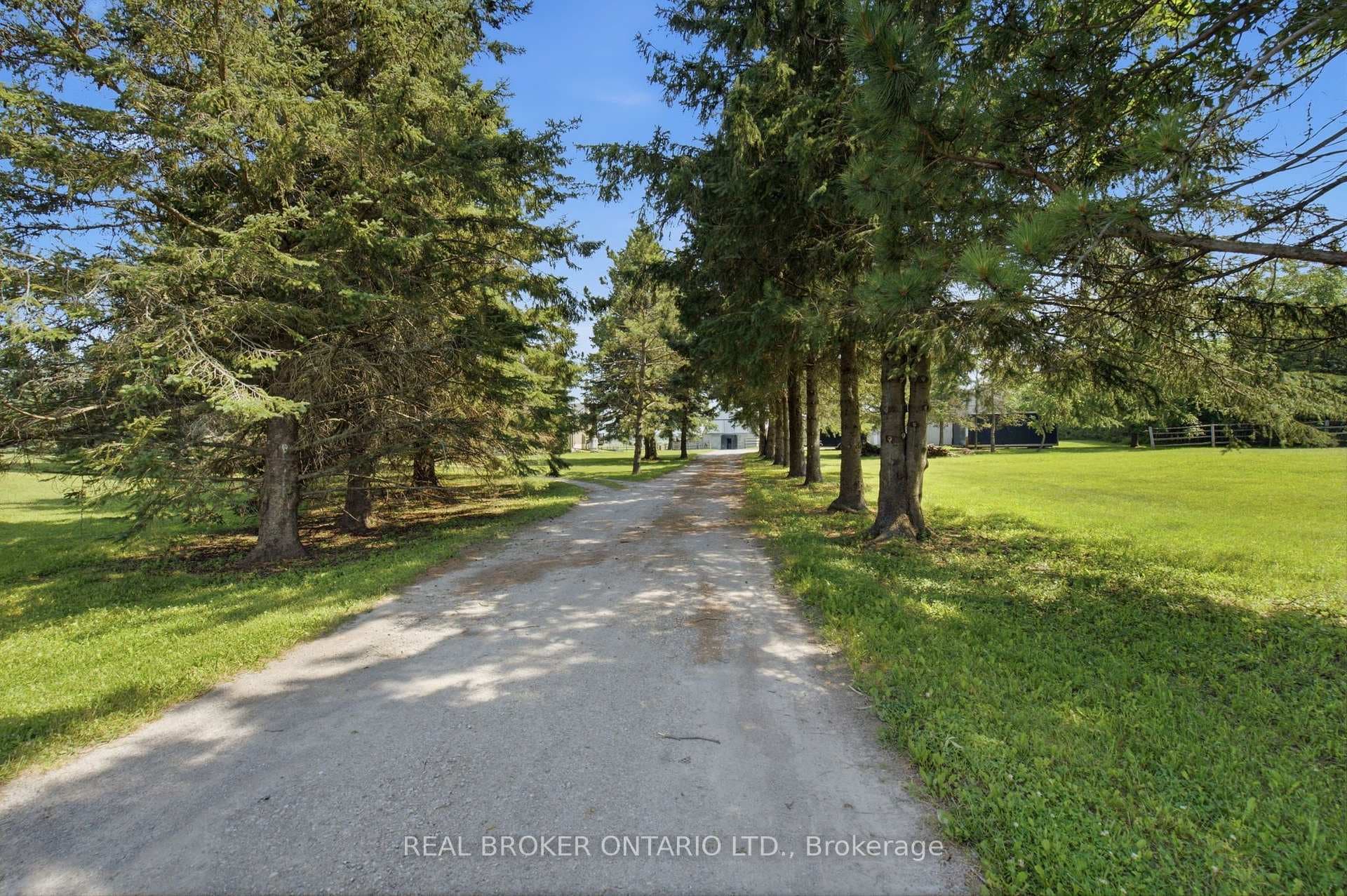 785 Reid Road photo 2