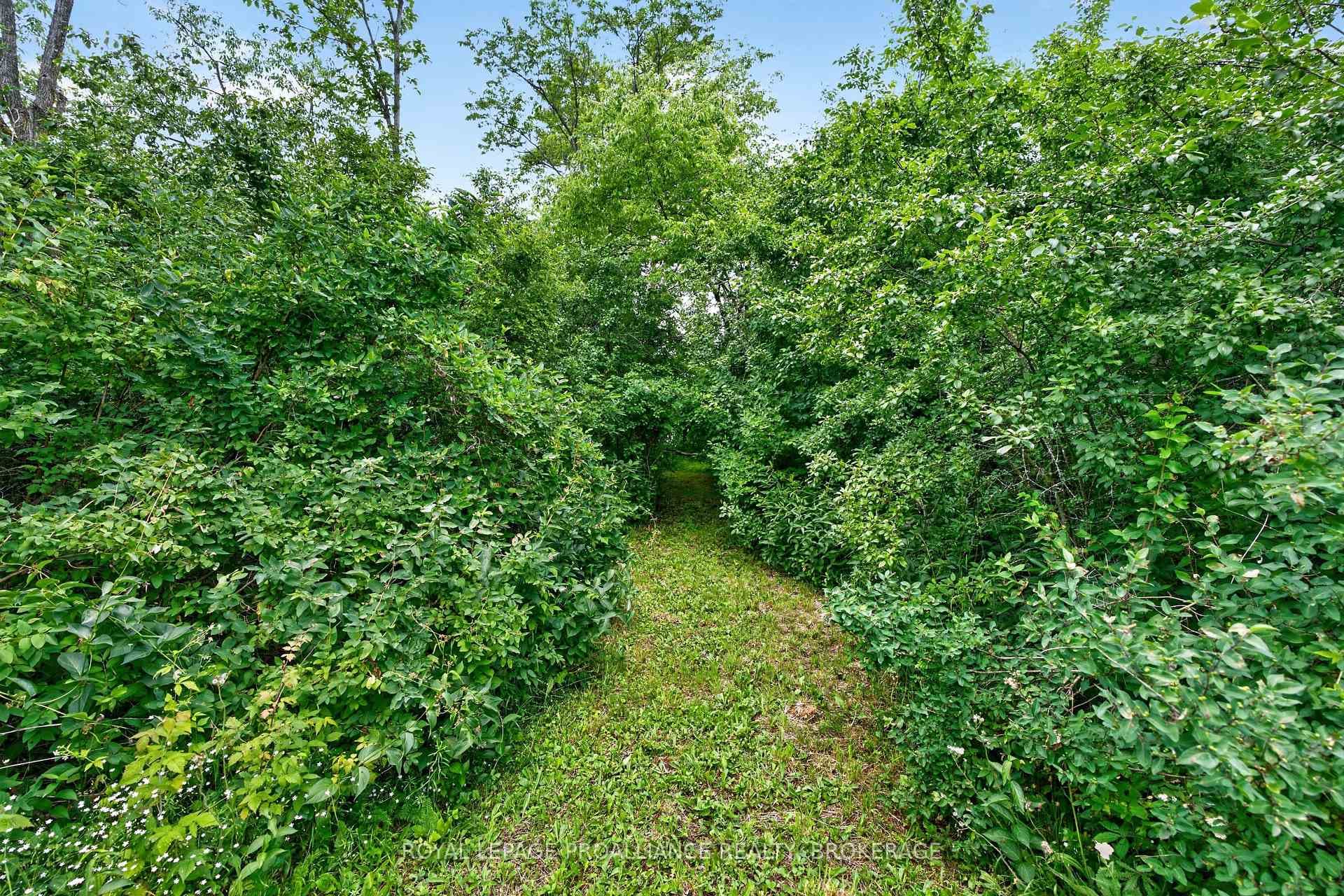 PT LT 5 Jarvis Road photo 4