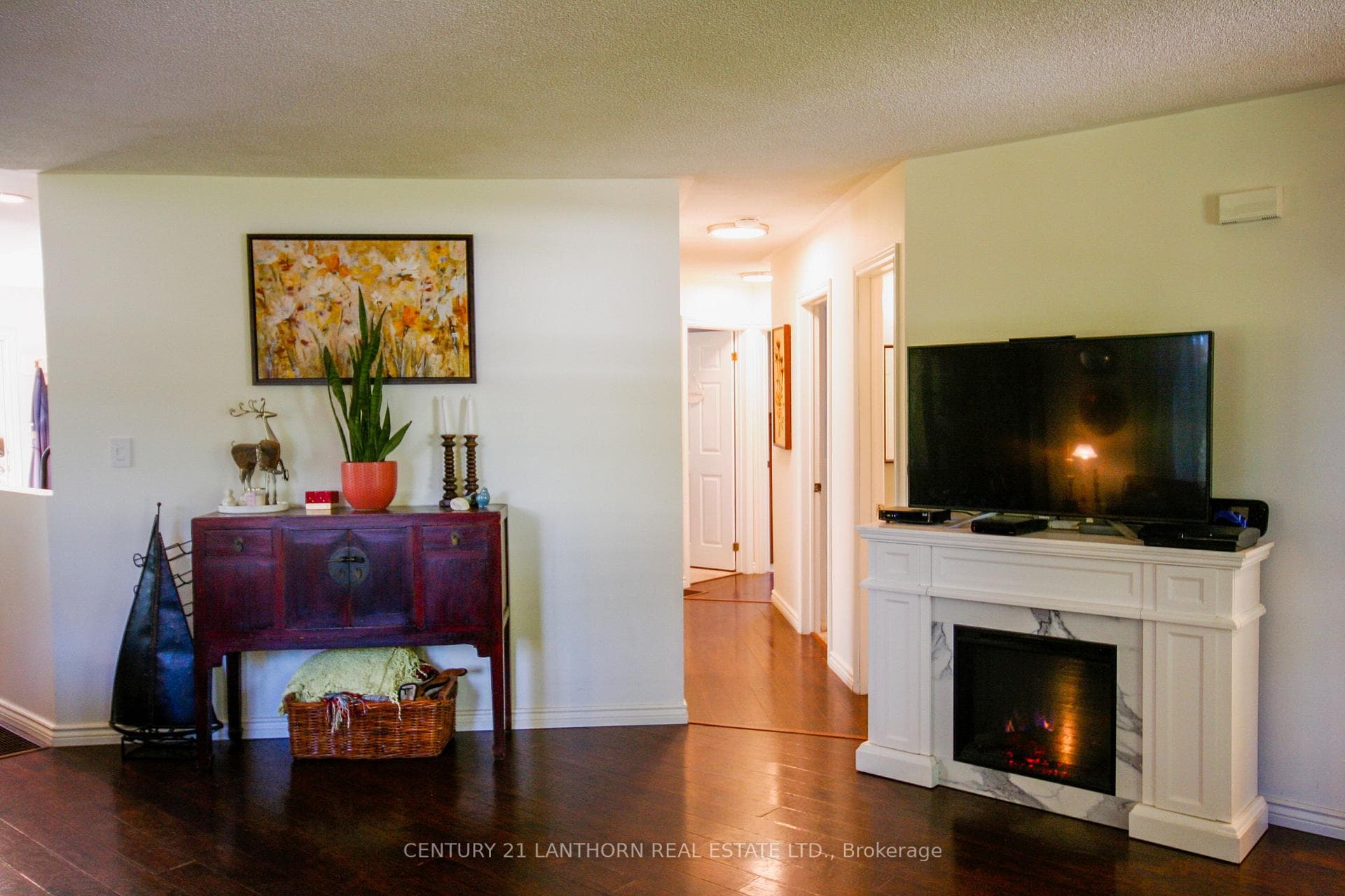 44 Salisbury Road photo 12