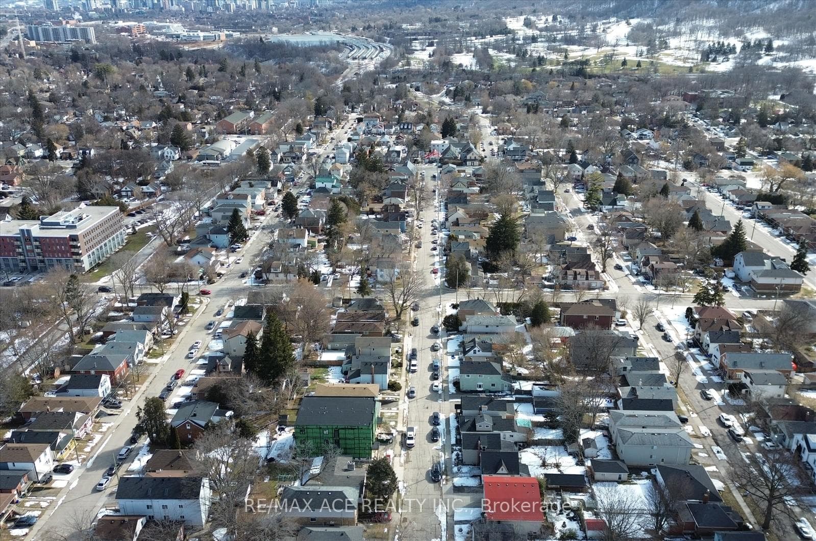 83 Ward Avenue photo 43