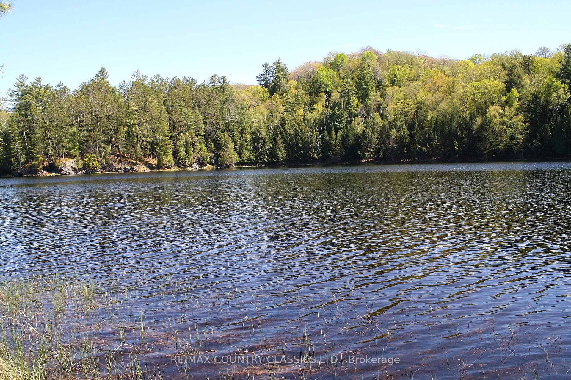 1060 Little Ireland Road photo 20