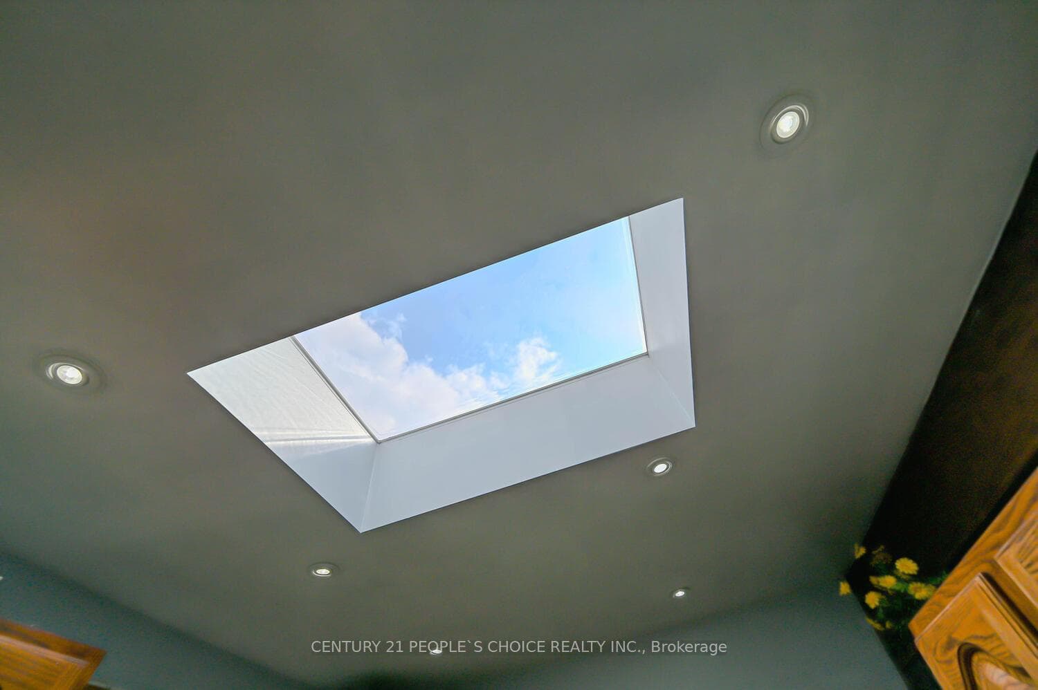 11 Checker Court photo 22