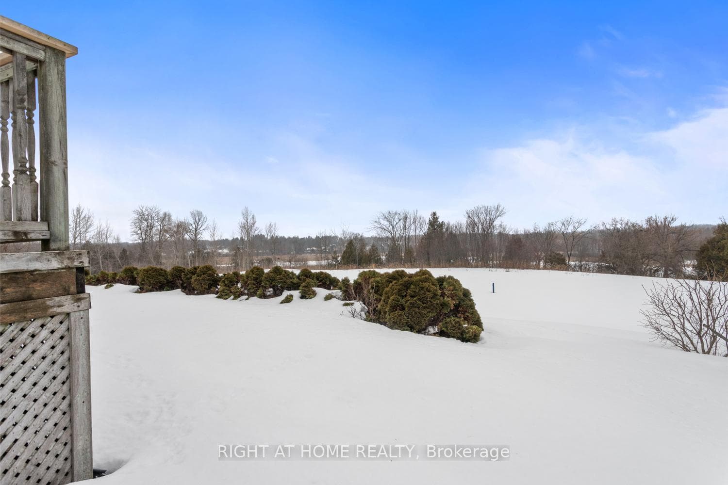 295 Waterbury Crescent photo 7