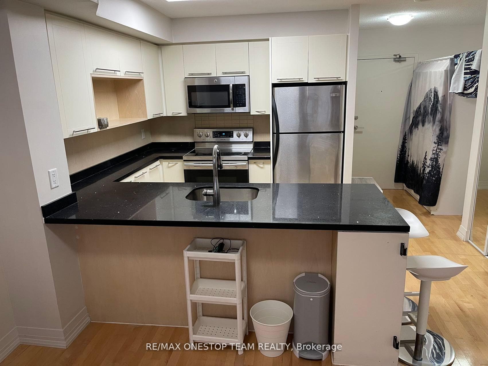 21 Carlton Street Unit 406 photo 4