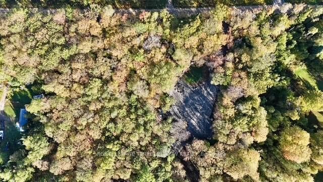 1394 Bartlett Lake Road photo 4