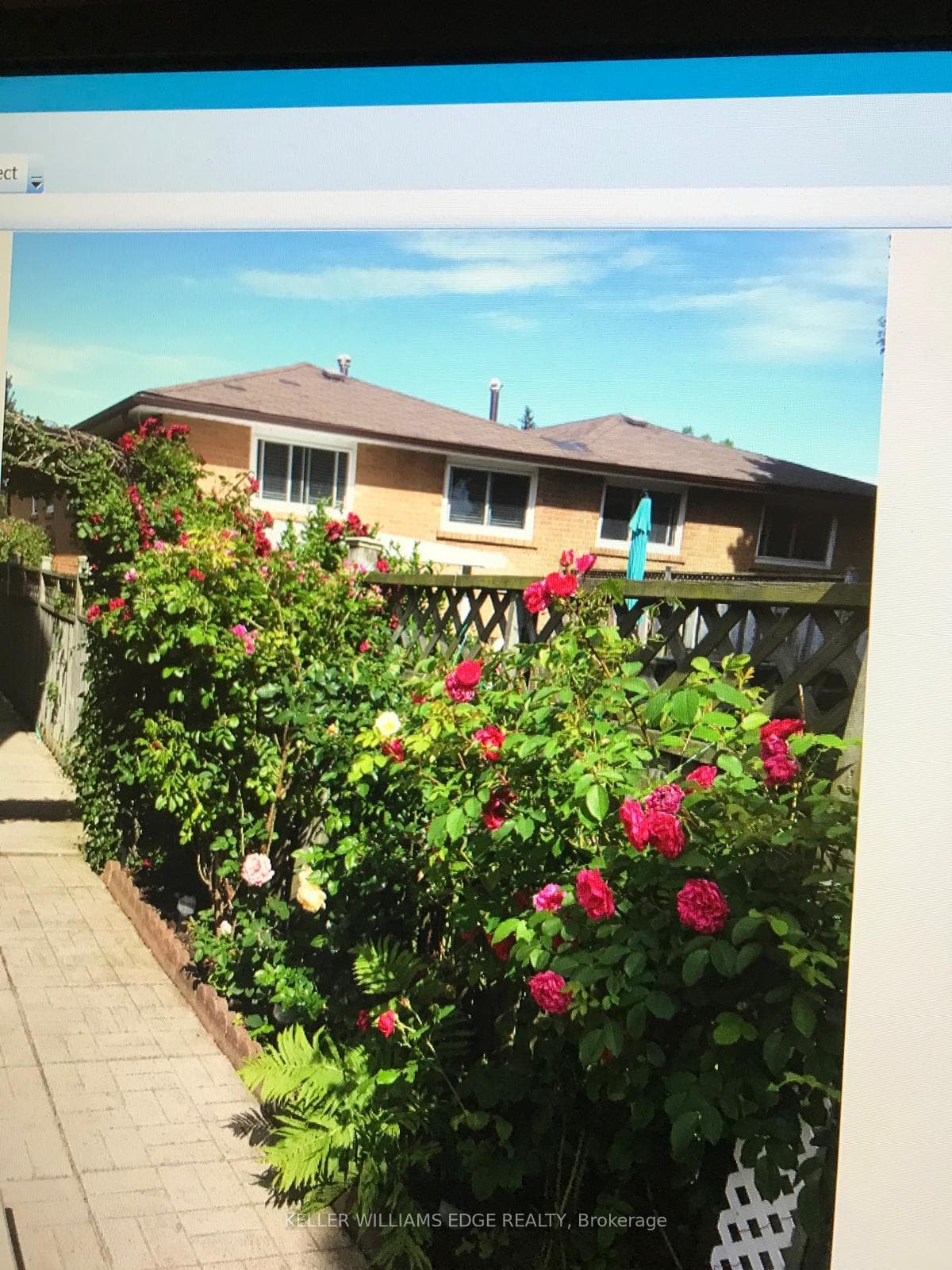 Gardens - Side of Home