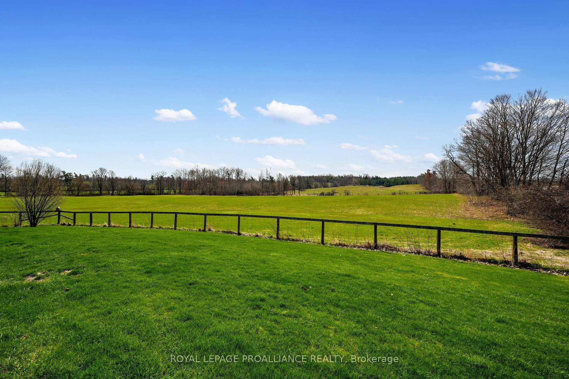 249 Bright Road photo 37