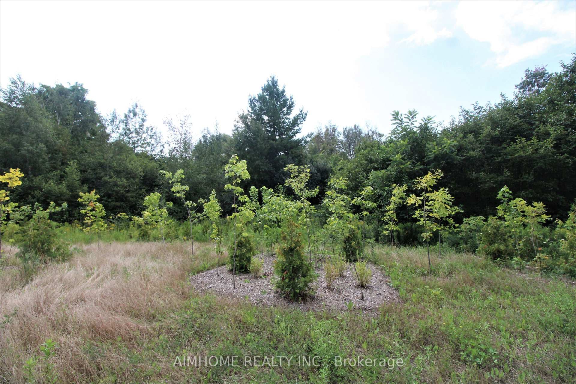 151 Bridgepointe Court photo 20