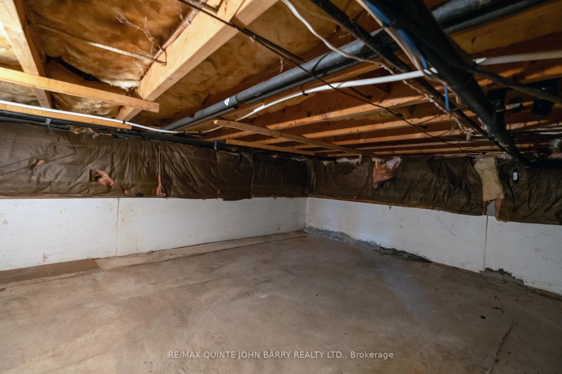 28 Walter Avenue photo 39