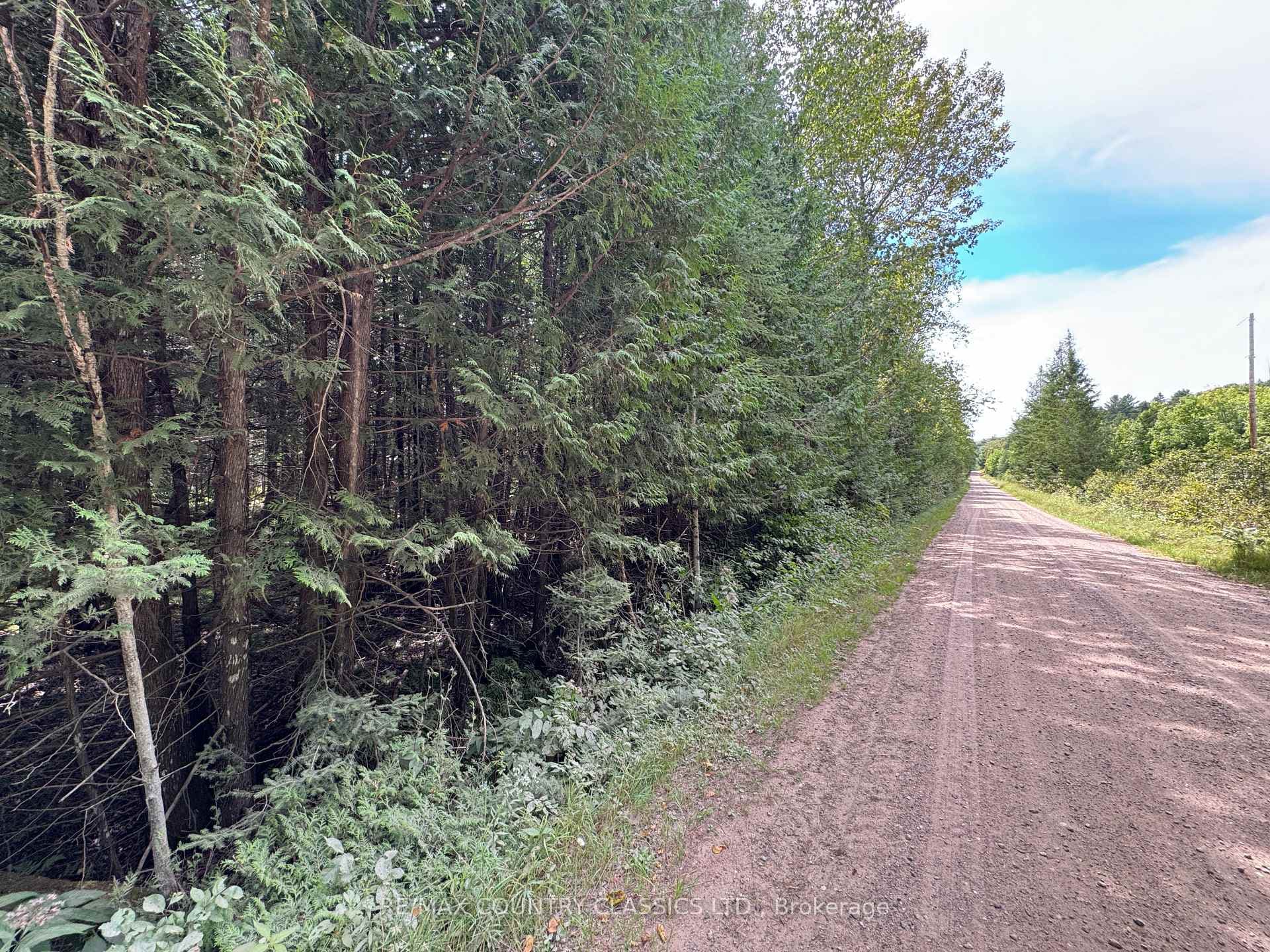 189 Schimmens Road photo 2