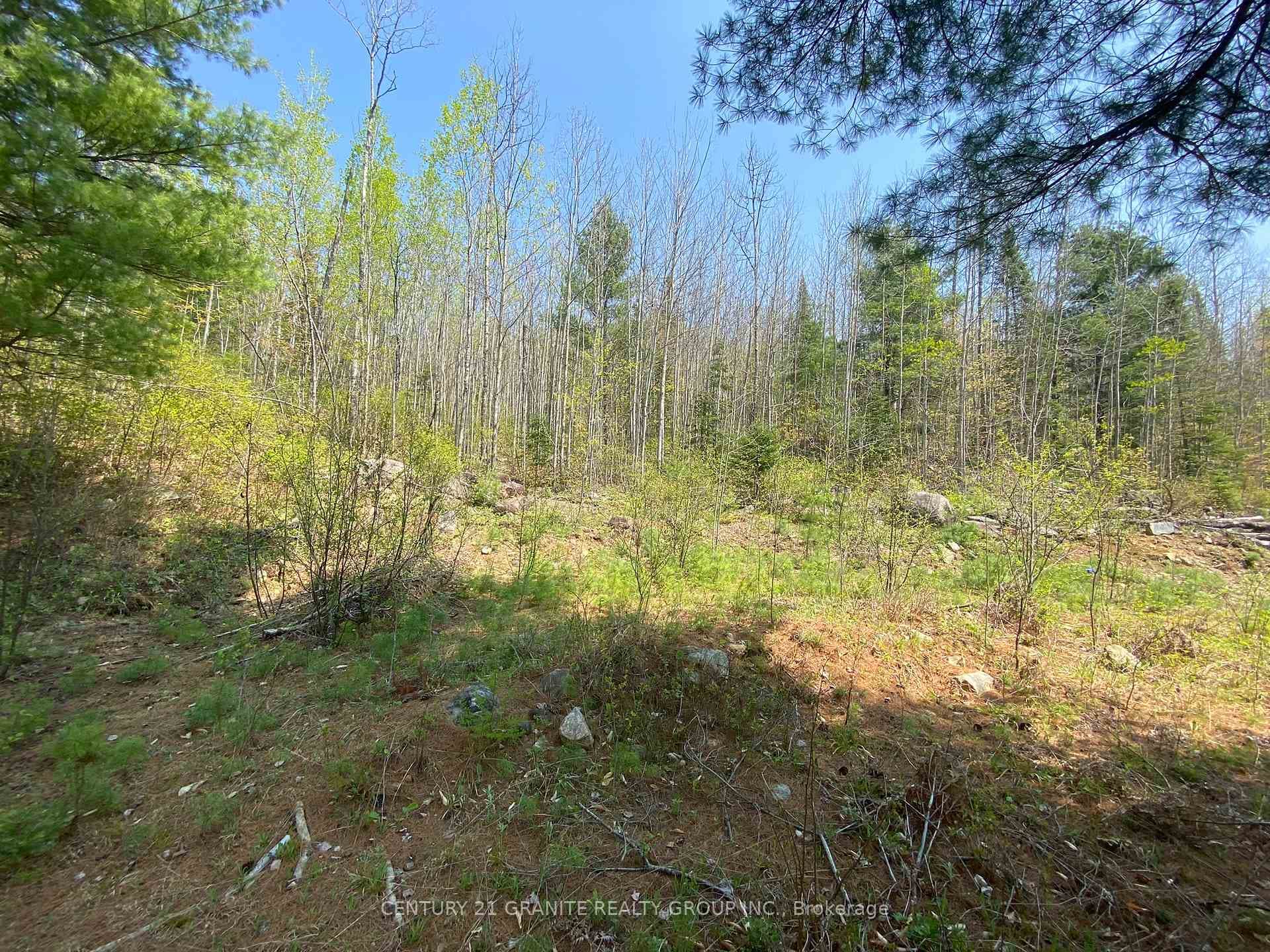 N/A Boulter Lake Road photo 8