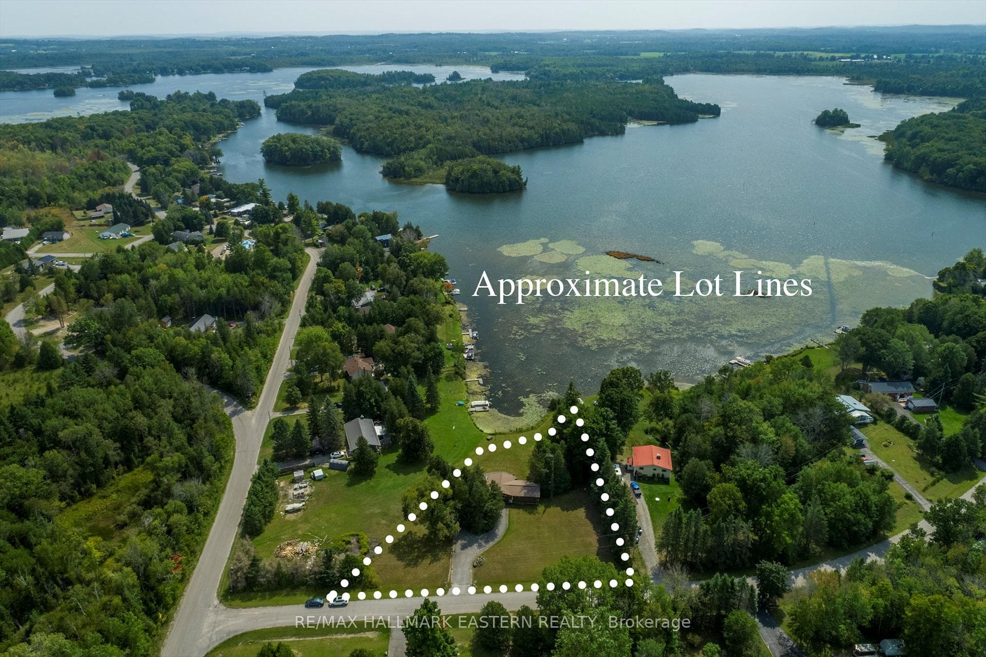 17 Buttercup Lane photo 38