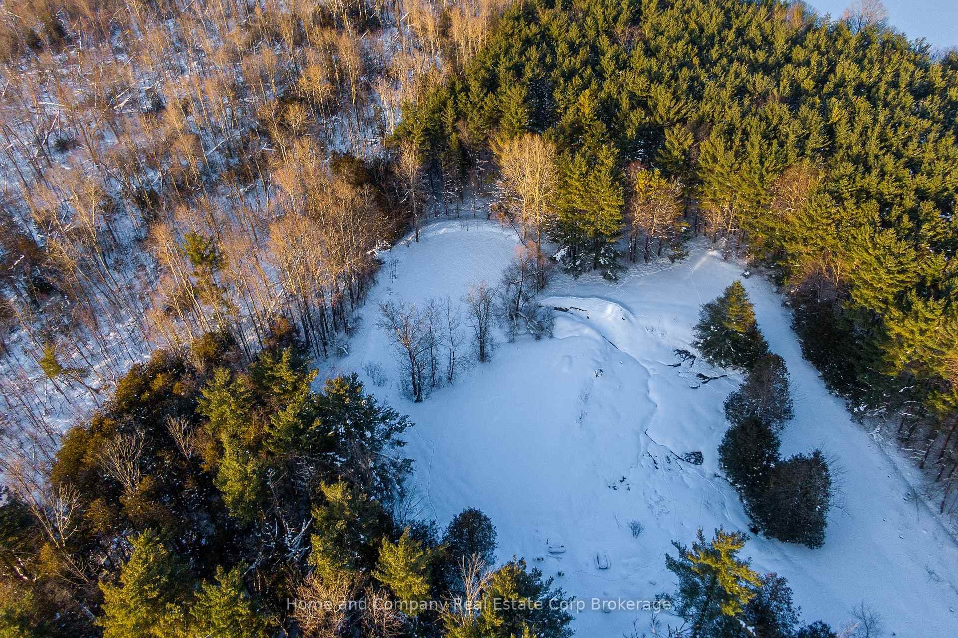Aerial View Of Pond