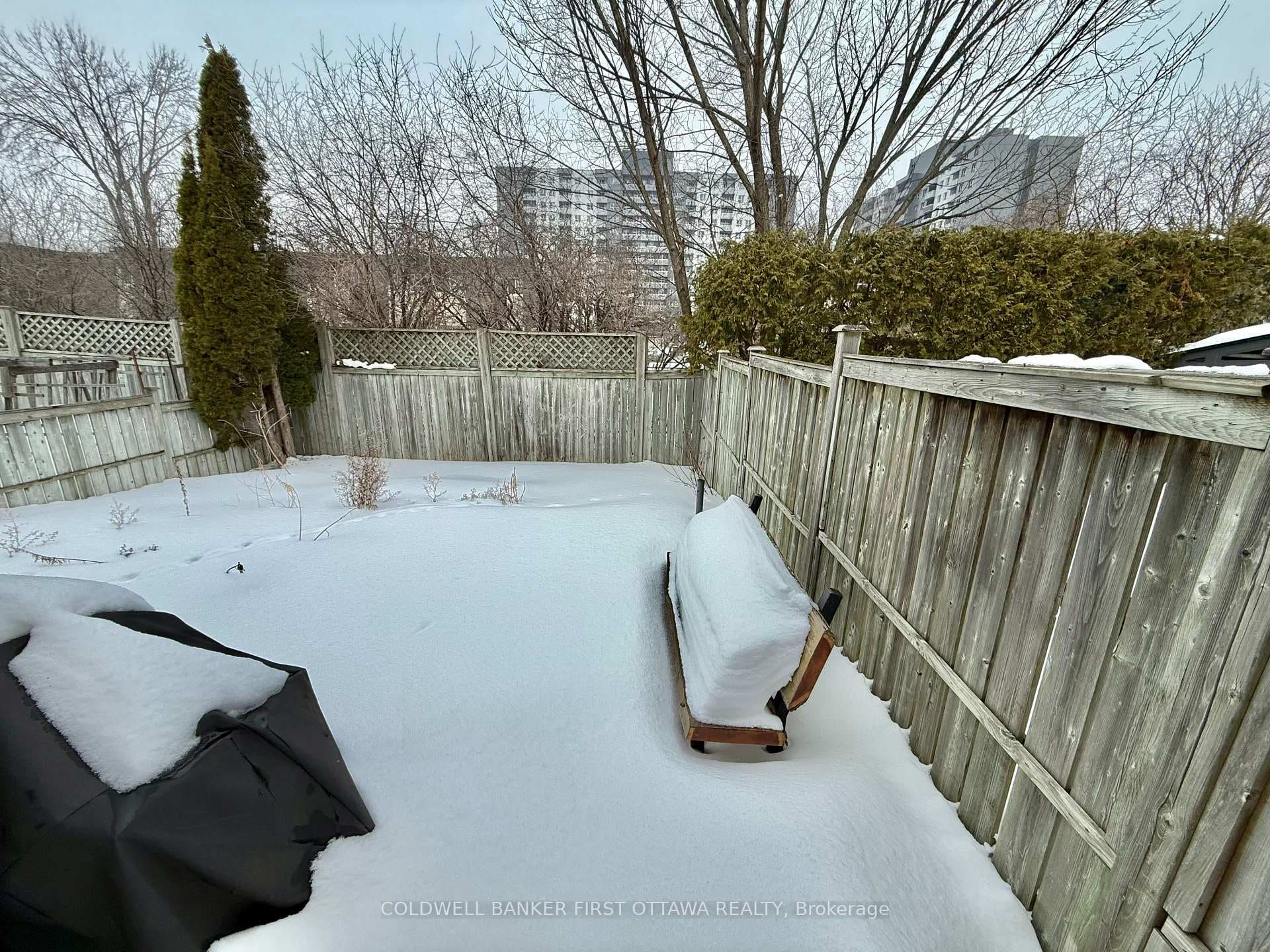 70 TRUMP Avenue photo 19