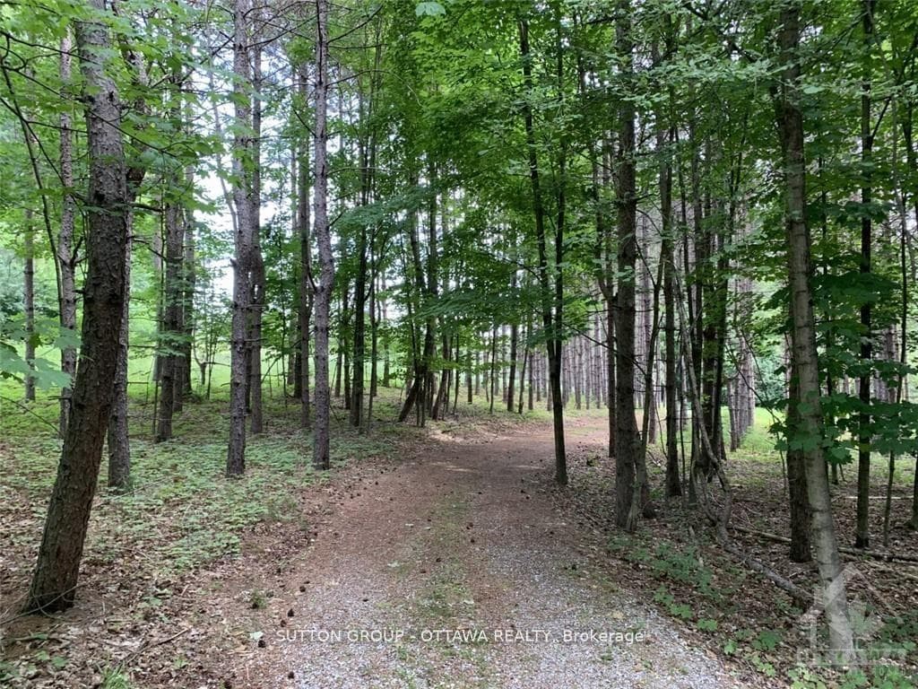 Community trails throughout