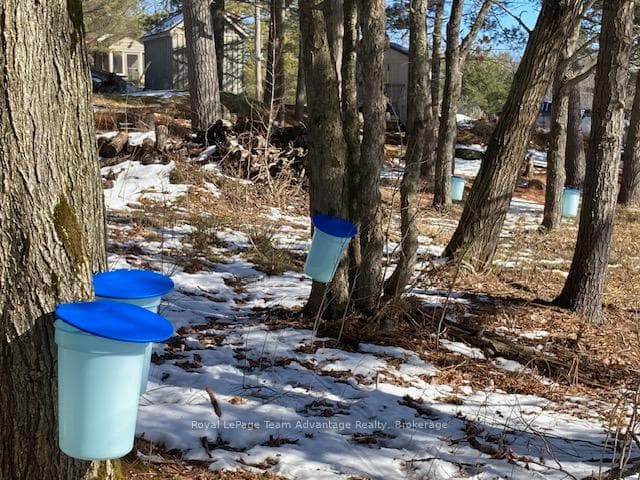 121 Rattlebear Drive photo 39