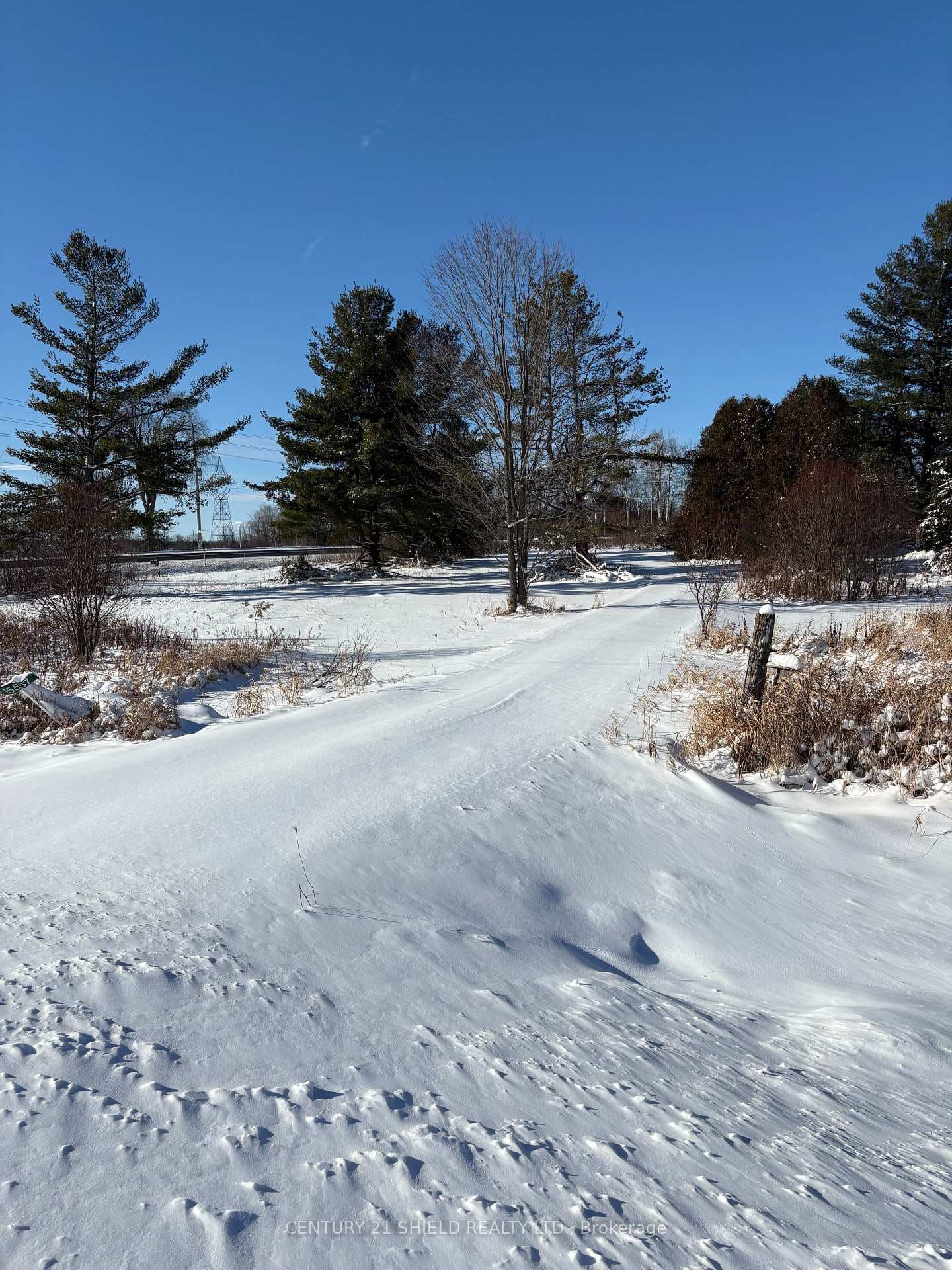 15557 Dixon Road photo 15
