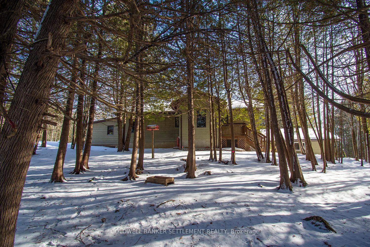 2788 Balfour Lane photo 30