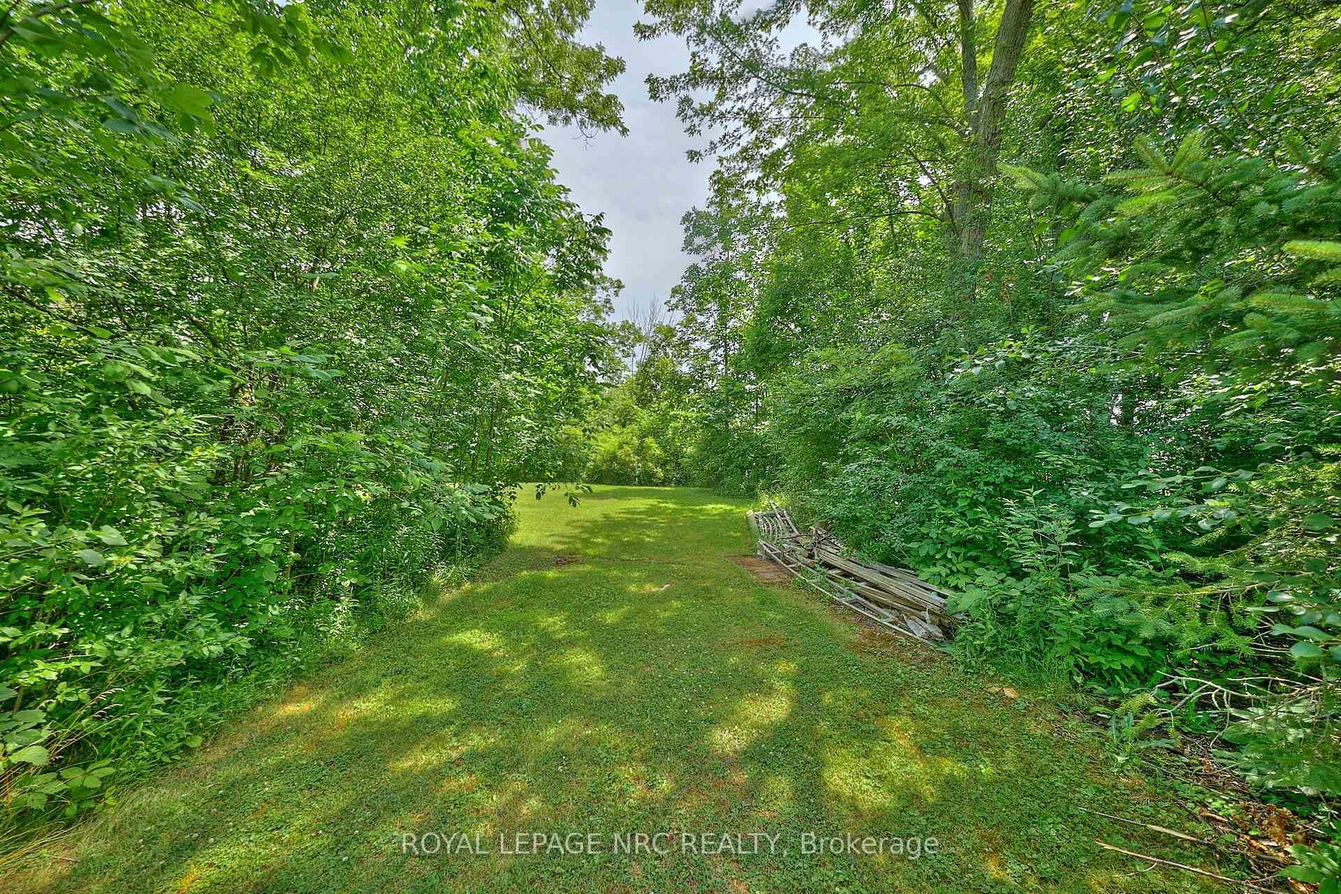 10266 Willodell Road photo 6