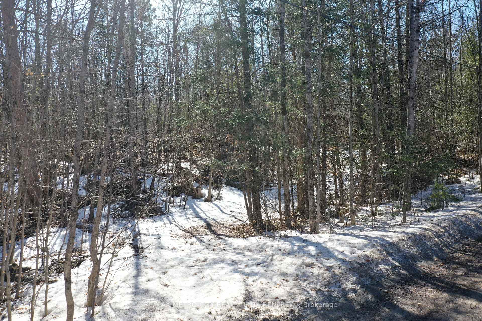 835 Ferguslea Road photo 9