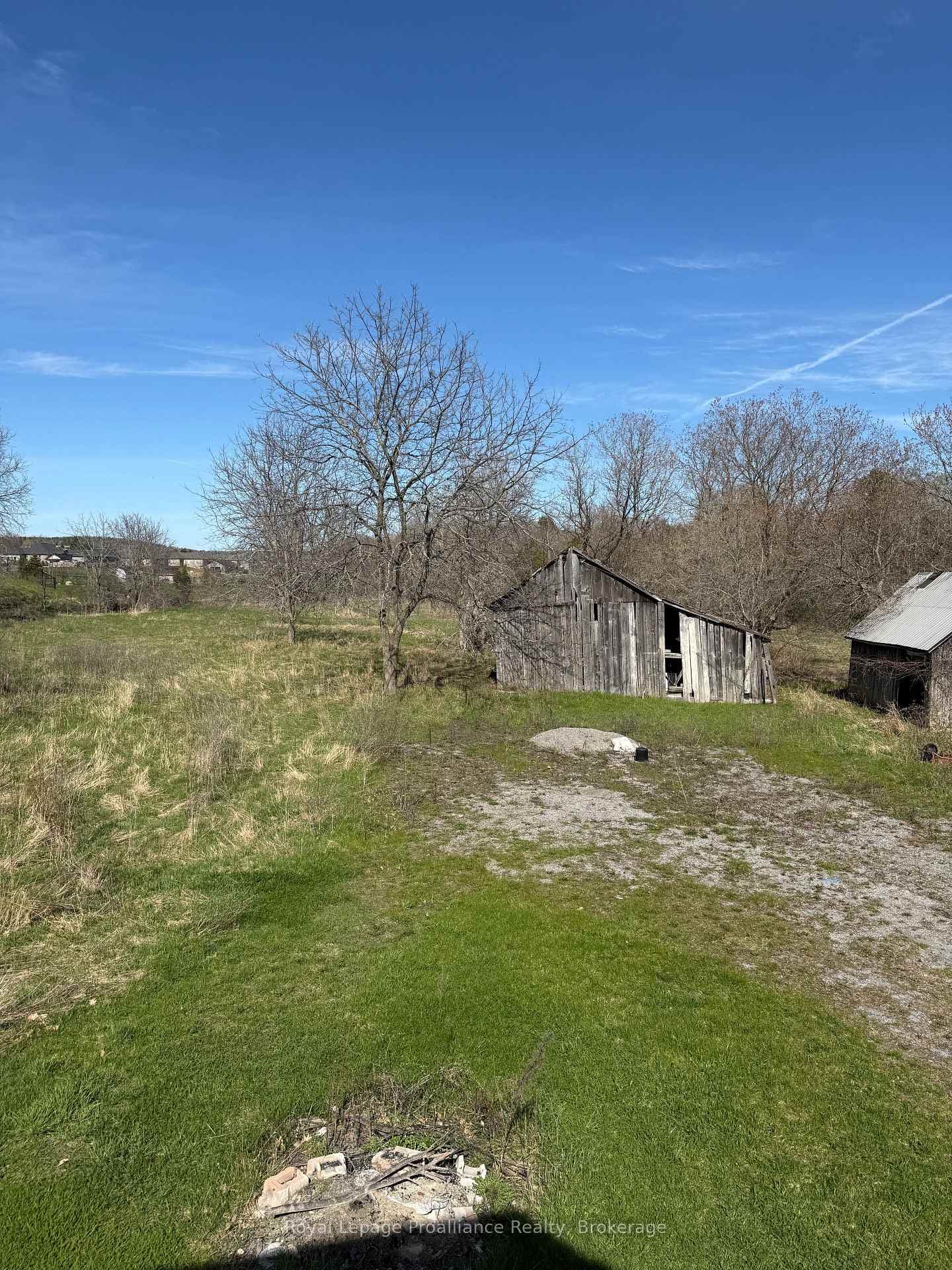 303 Brimley Road photo 9